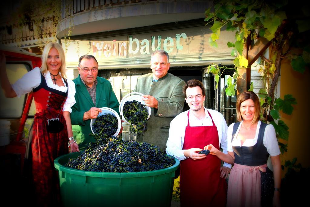 Pension Weinbauer Hofkirchen im Traunkreis 외부 사진