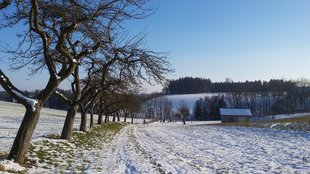 Pension Weinbauer Hofkirchen im Traunkreis 외부 사진